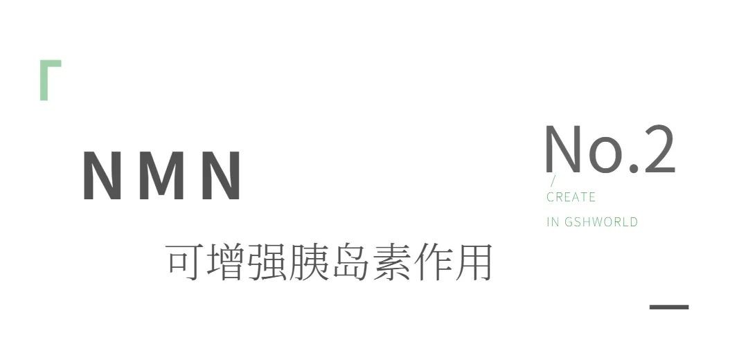 开云体育新人生物