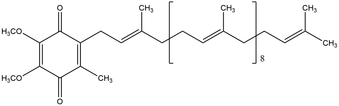 开云体育新人生物