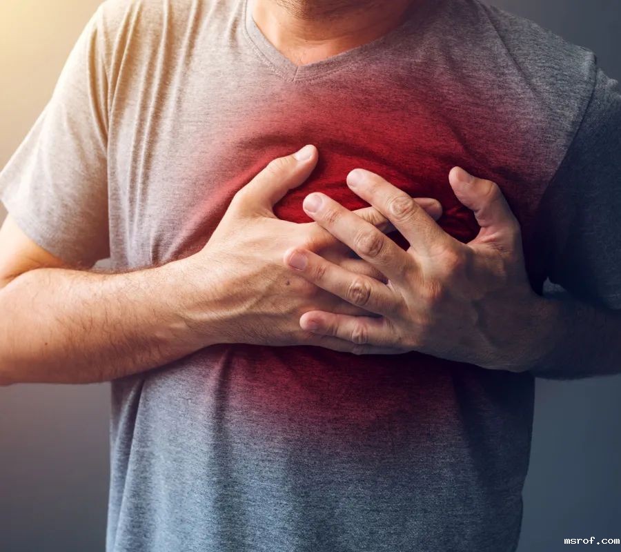 开云体育新人生物