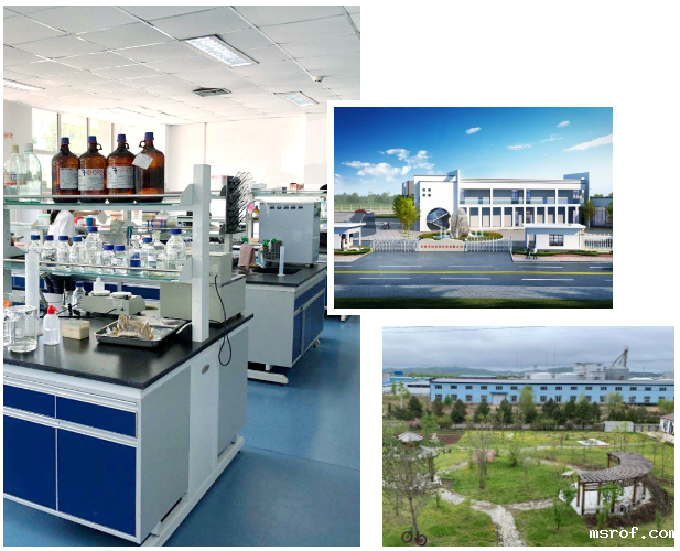 开云体育新人生物