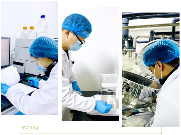 开云体育新人生物