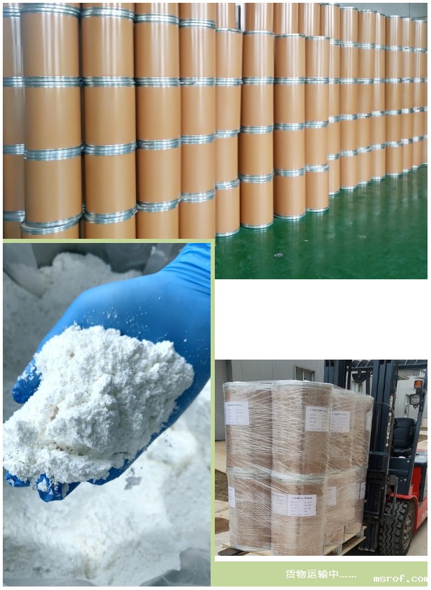 开云体育新人生物