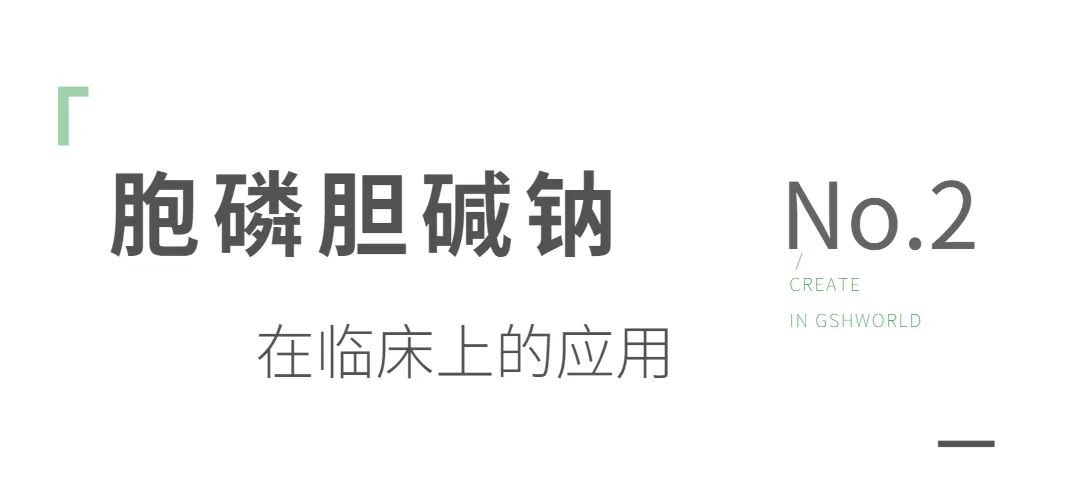 开云体育新人生物