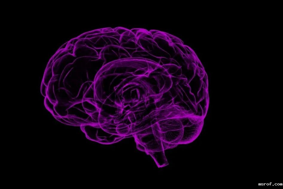 开云体育新人生物