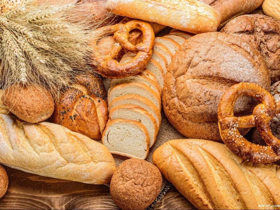 开云体育新人生物