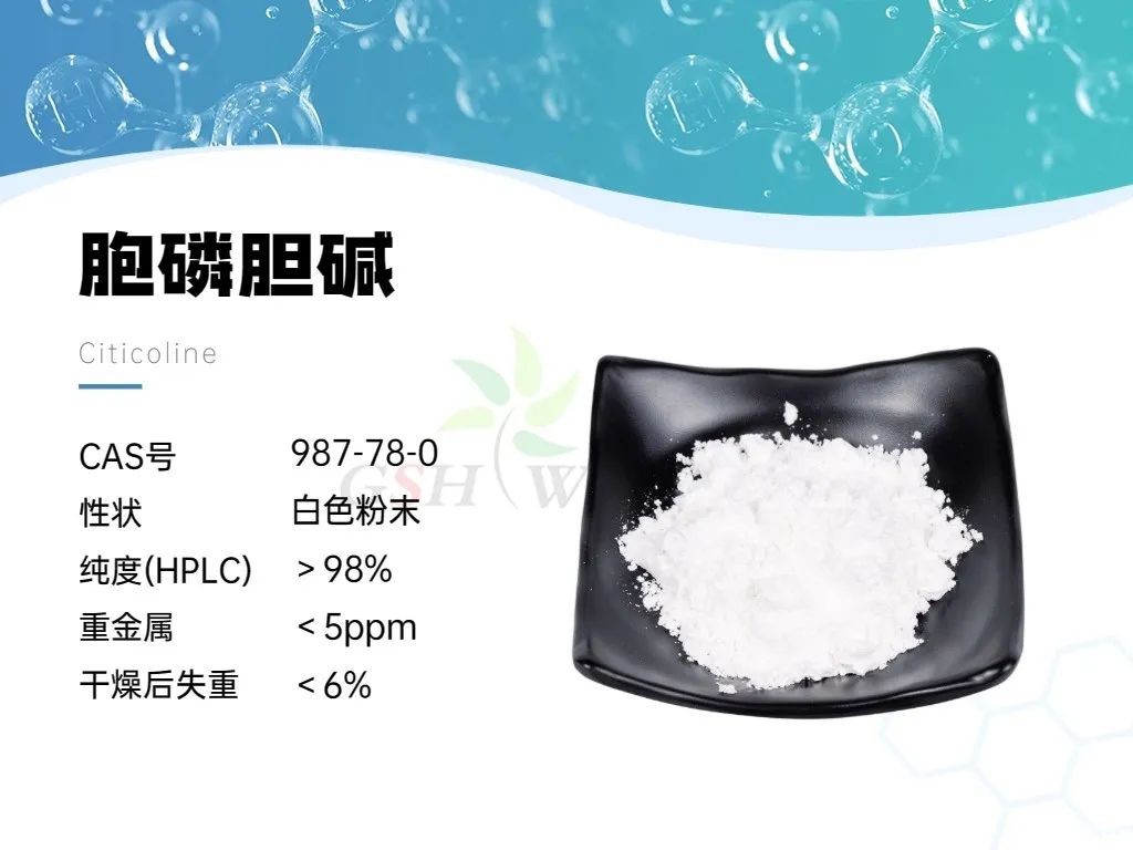 产品资讯 - 胞磷胆碱在视网膜病理学中的作用