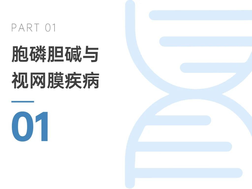 开云体育新人生物