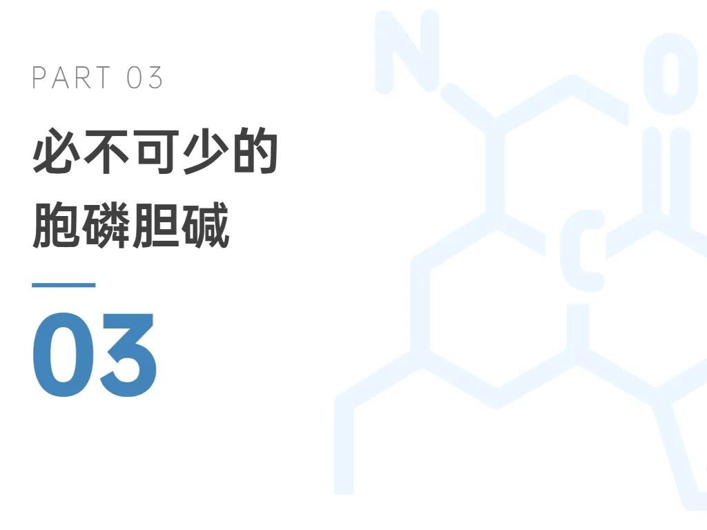 开云体育新人生物
