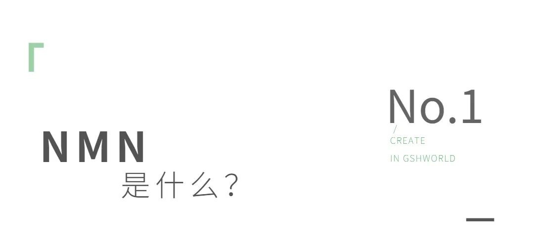 开云体育新人生物