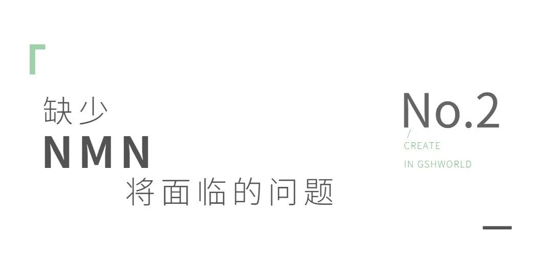 开云体育新人生物