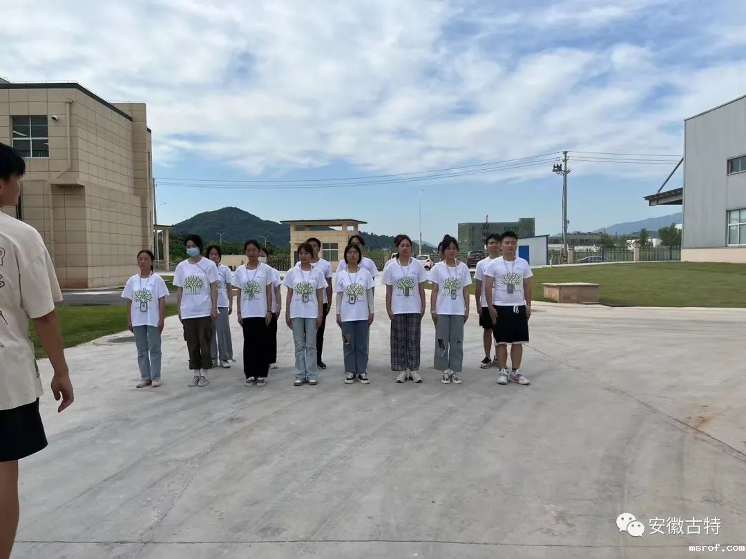 开云体育新人生物