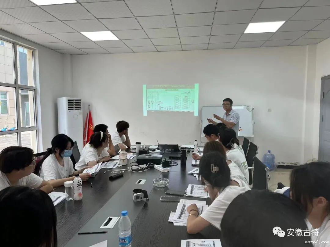 开云体育新人生物