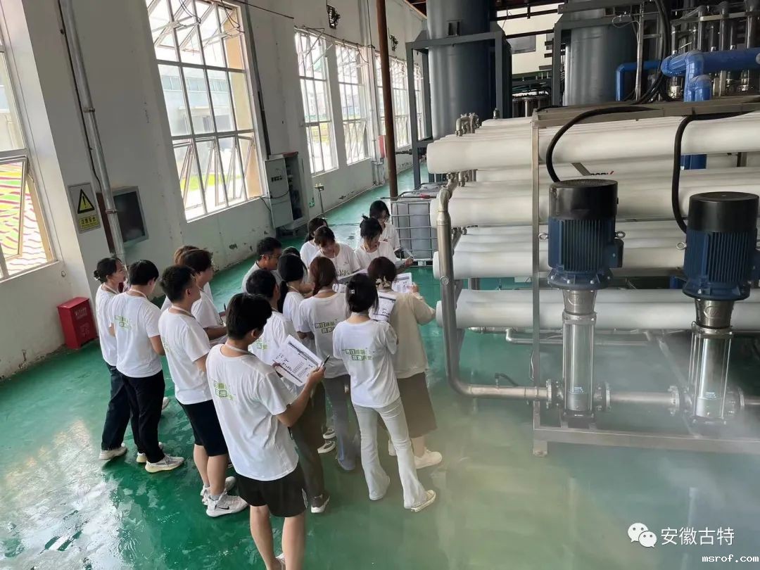 开云体育新人生物