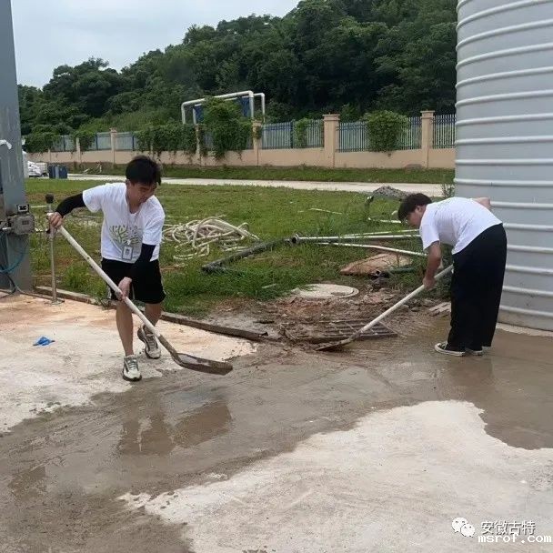 开云体育新人生物