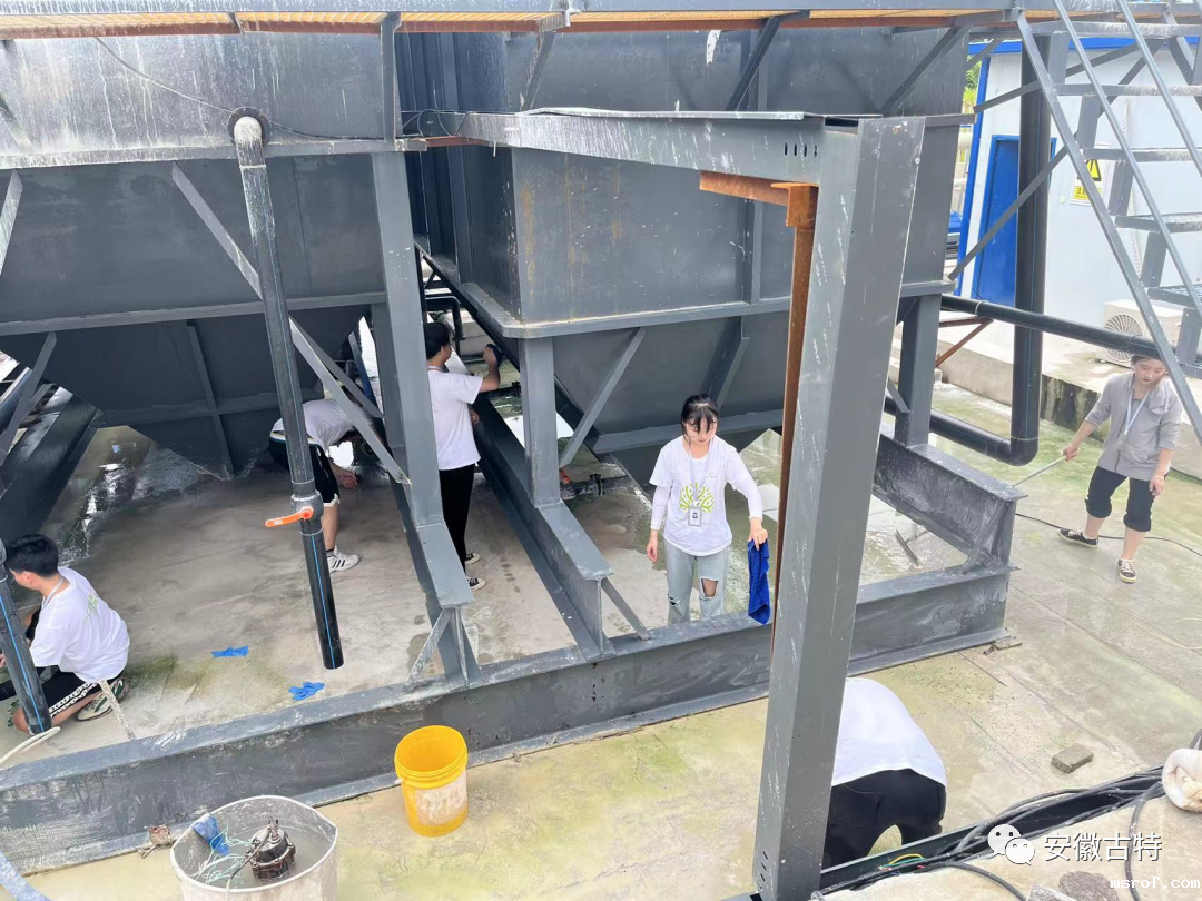 开云体育新人生物