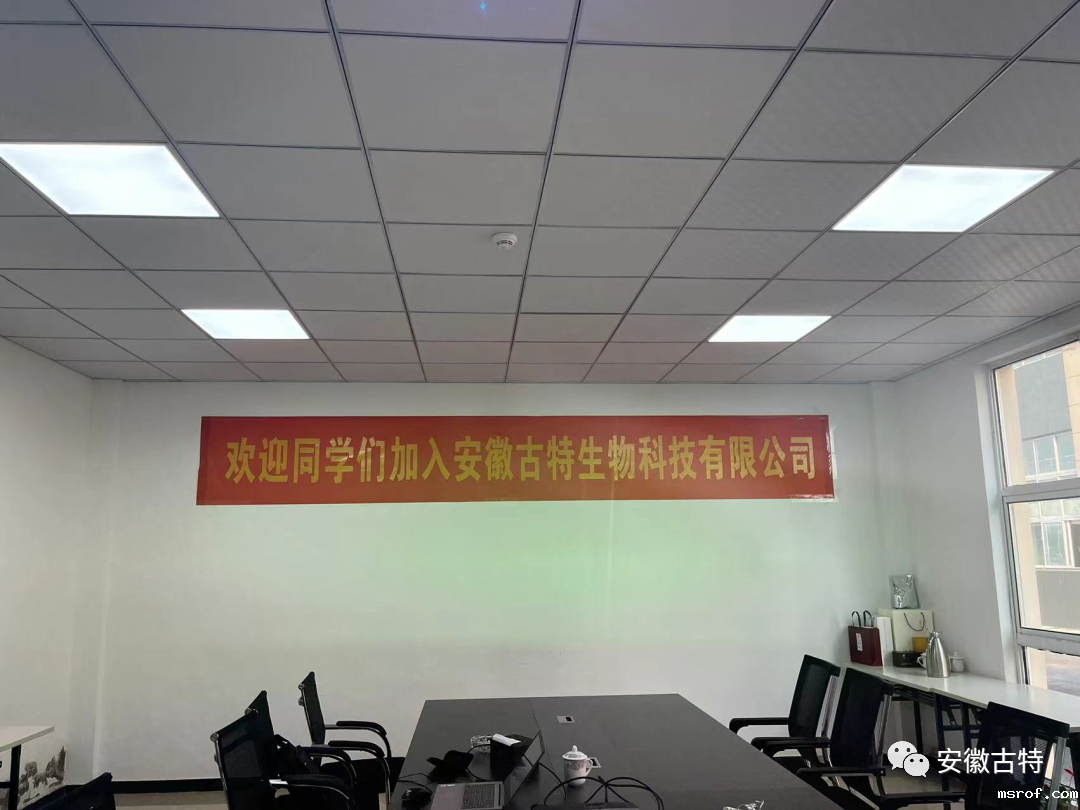 开云体育新人生物