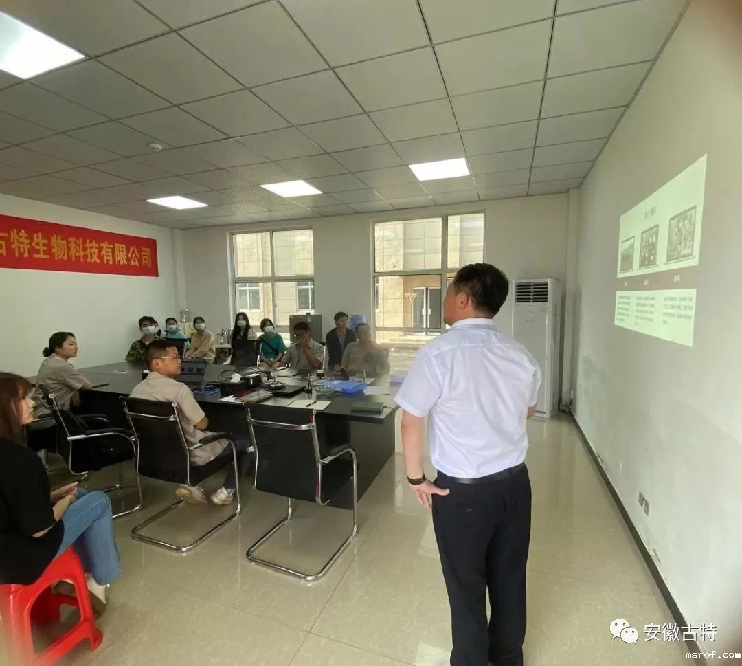 开云体育新人生物