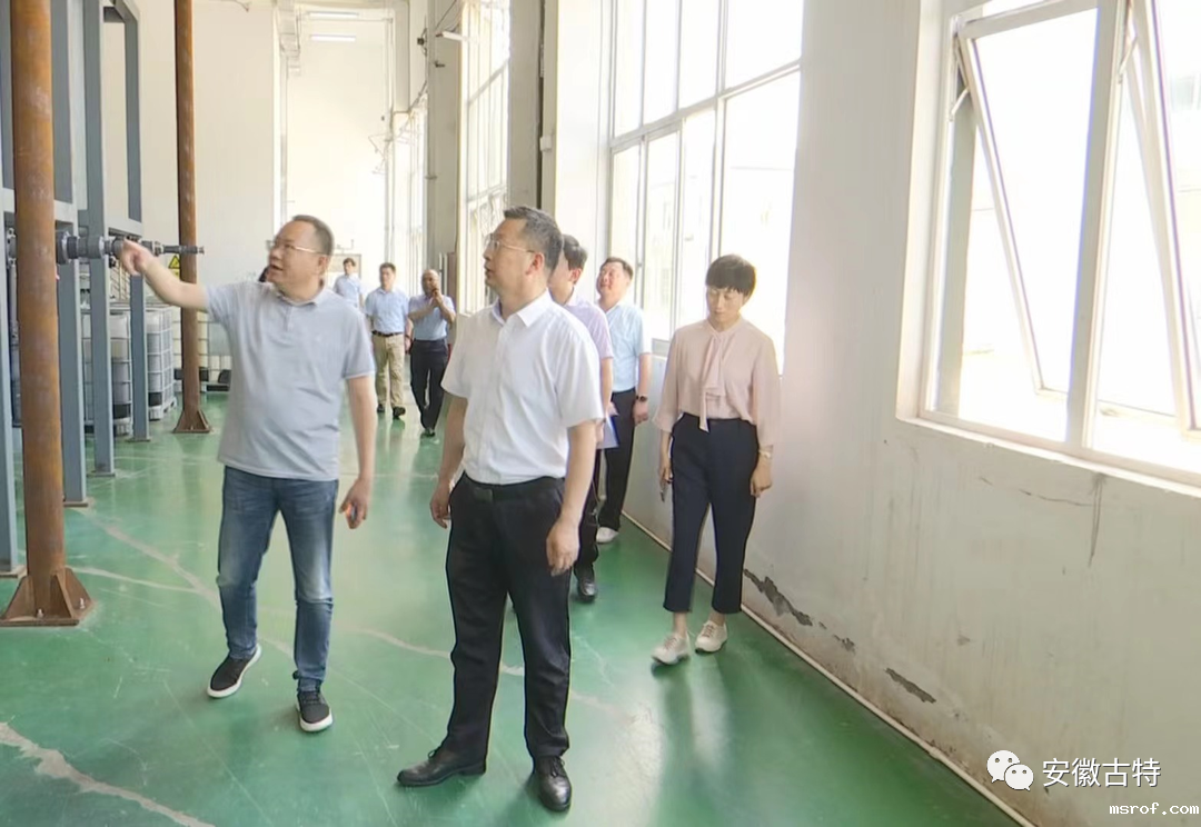 开云体育新人生物