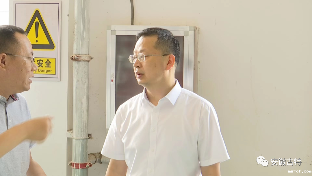 开云体育新人生物