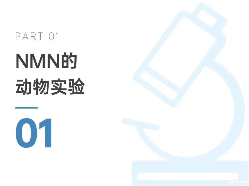 开云体育新人生物