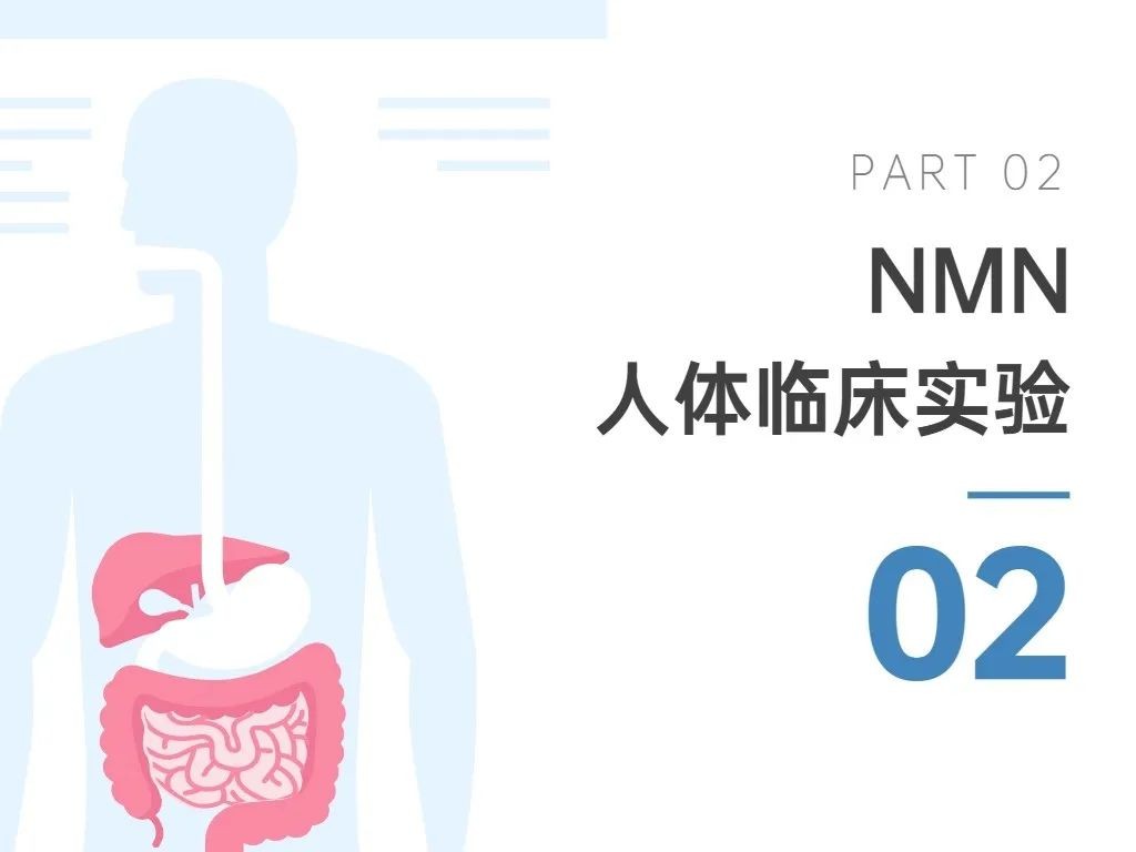 开云体育新人生物