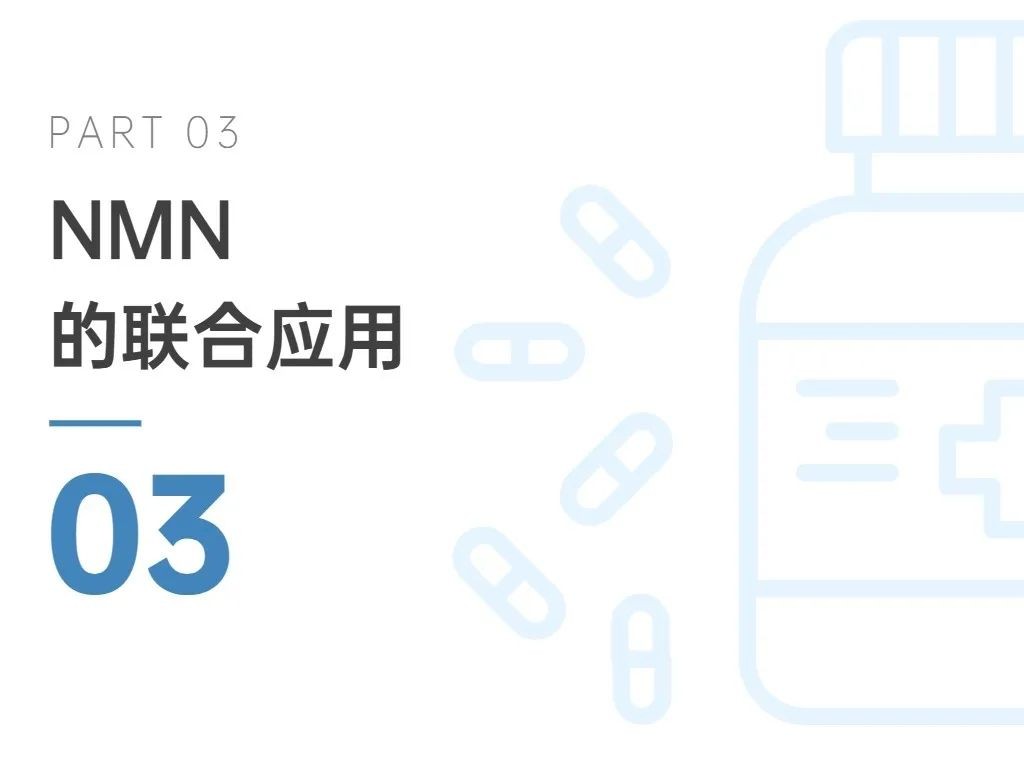 开云体育新人生物