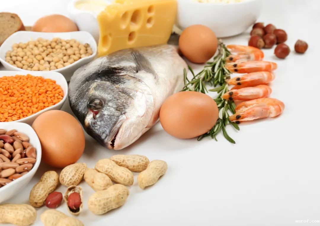 开云体育新人生物