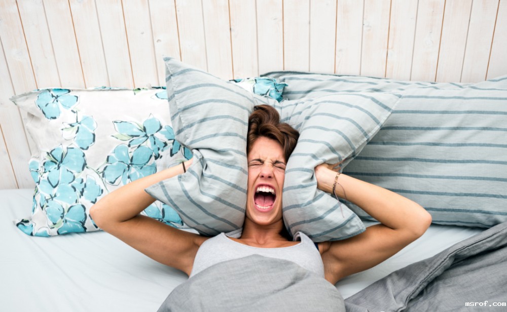 开云体育新人生物