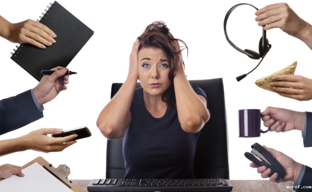 开云体育新人生物