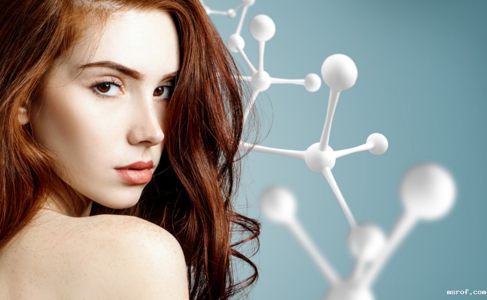 开云体育新人生物