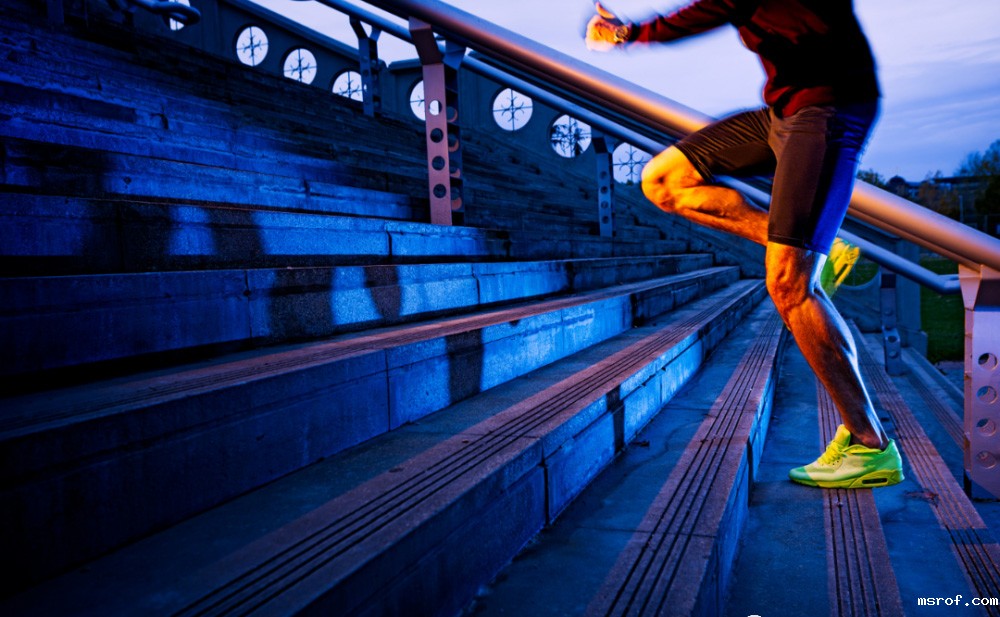 开云体育新人生物