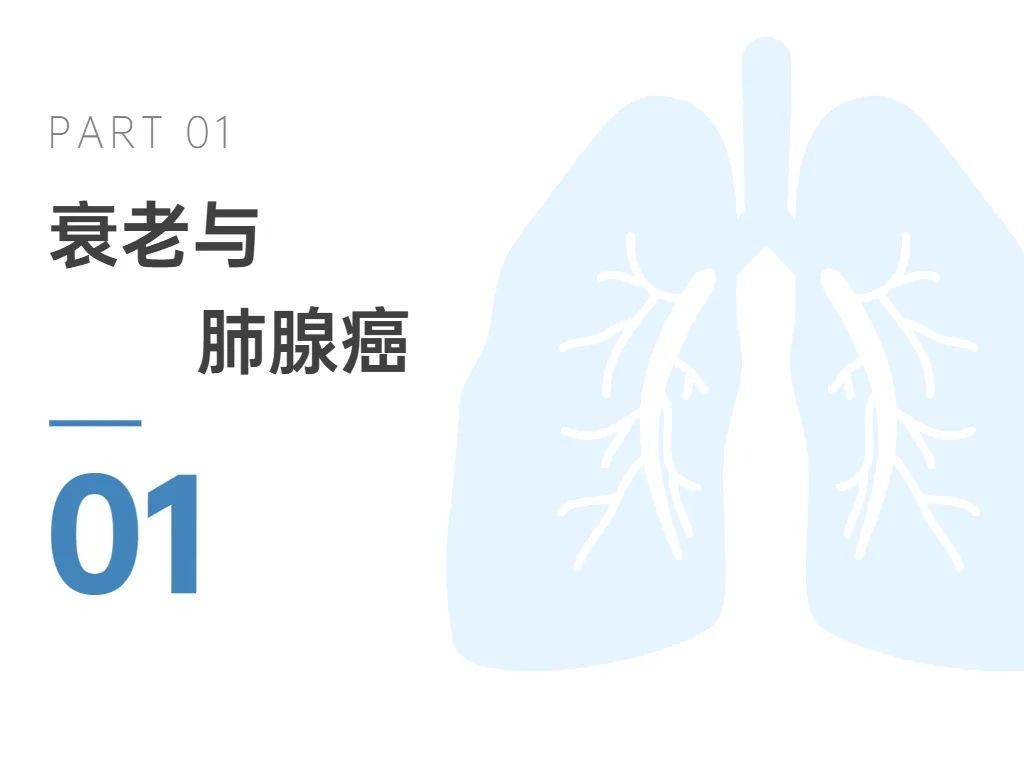 开云体育新人生物