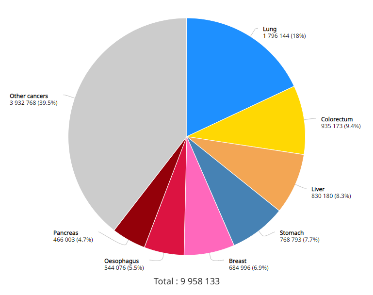 开云体育新人生物