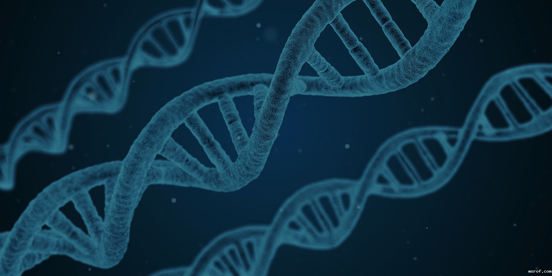 kaiyun官方网站手机版