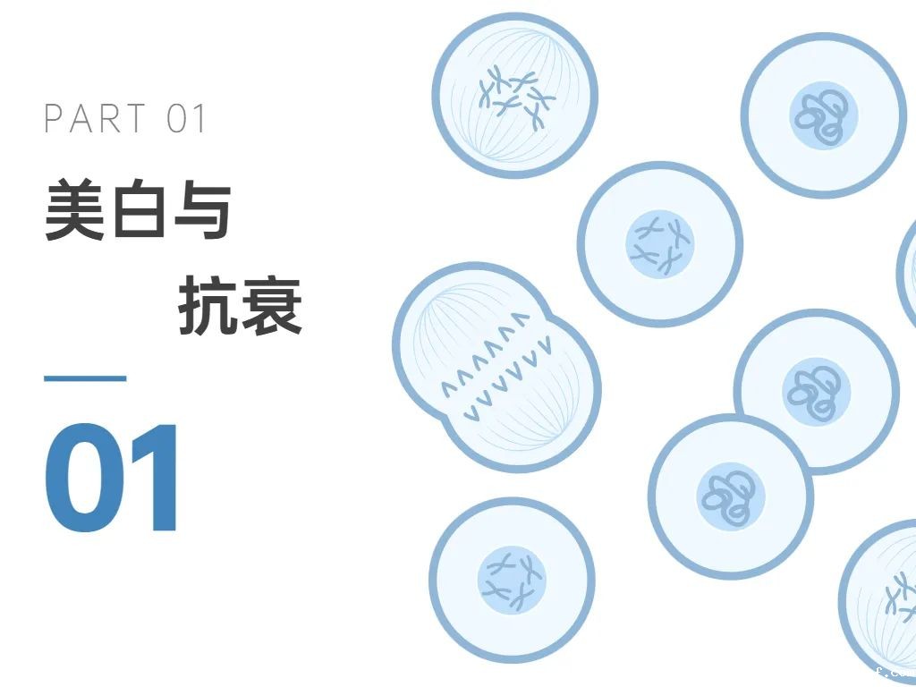 开云体育新人生物