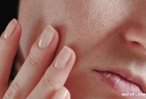 开云体育新人生物