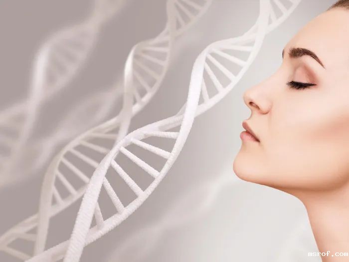 开云体育新人生物