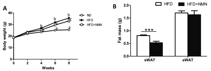 开云体育新人生物