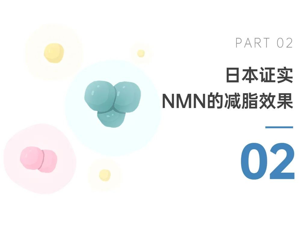 开云体育新人生物