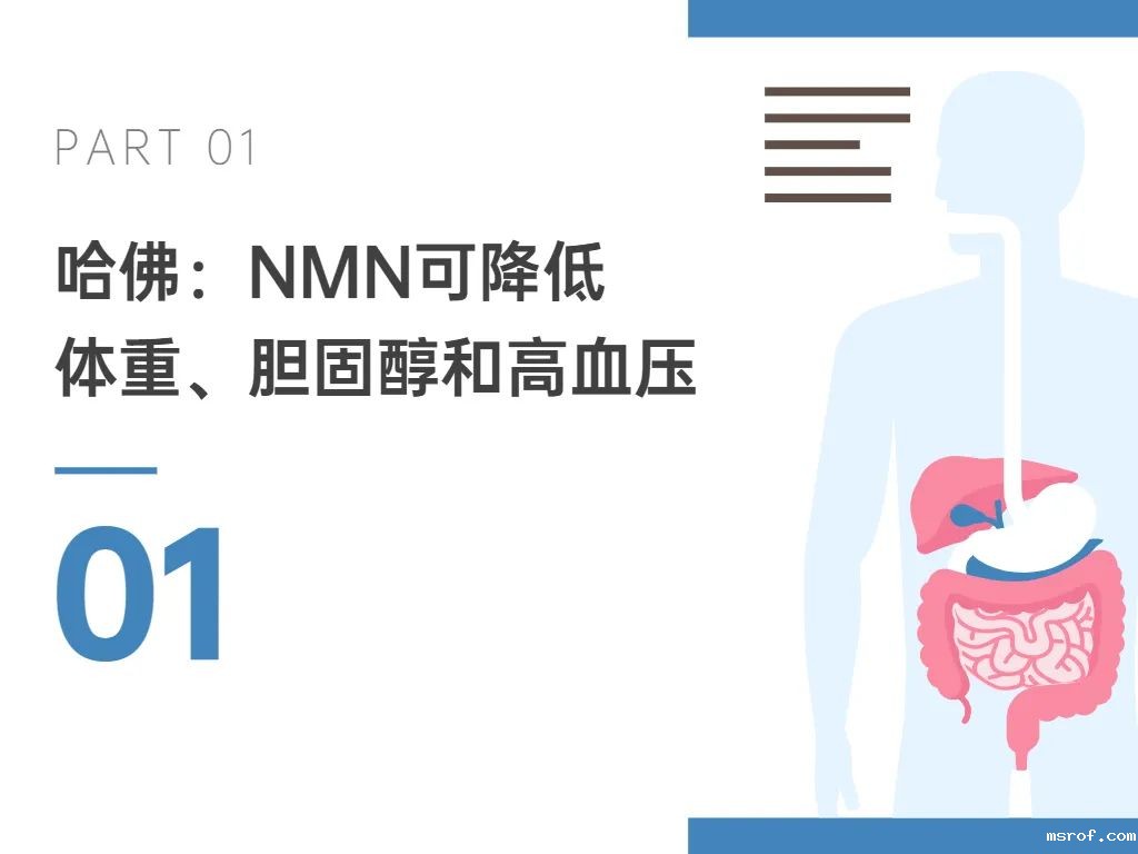 开云体育新人生物