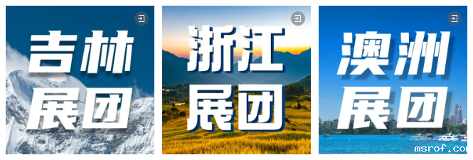 海内外展团集体亮相