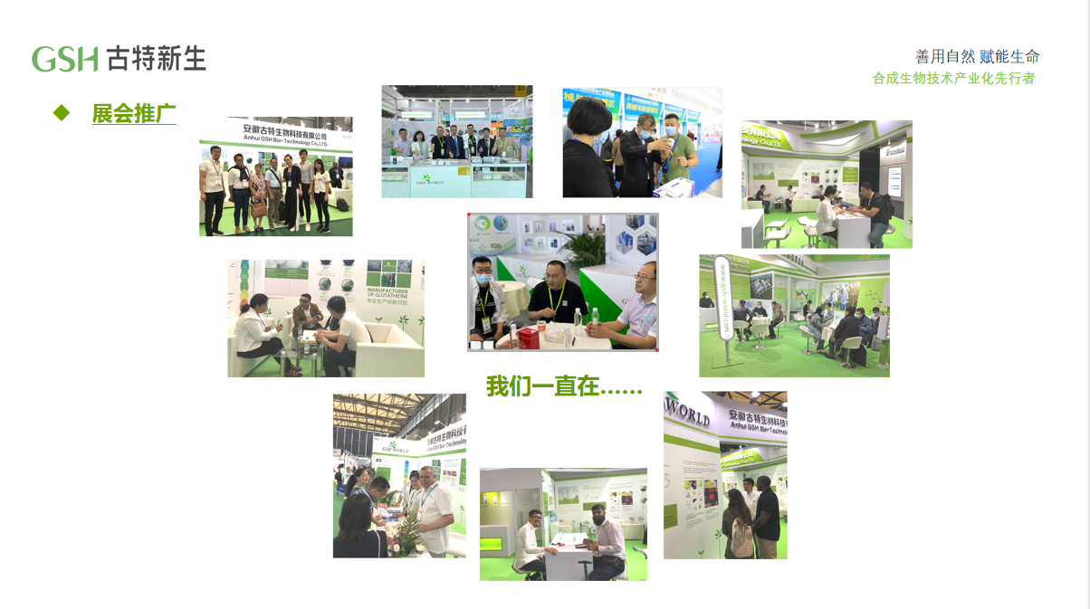 GSH开云体育新人新生展会推广