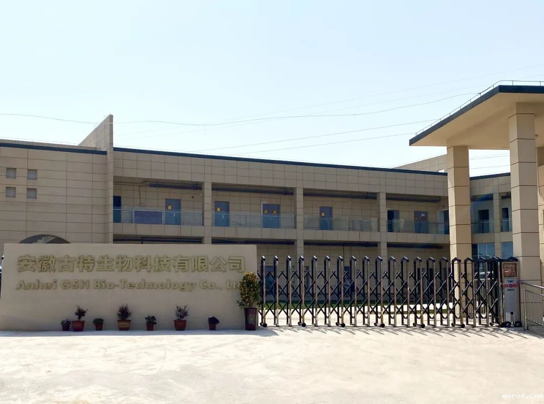 开云体育新人生物