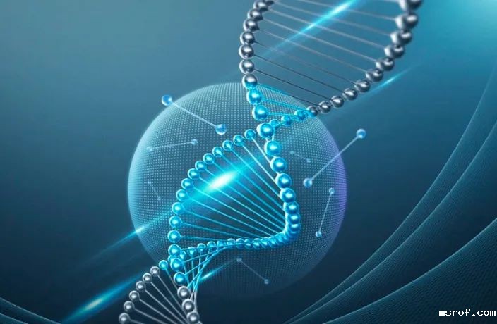 开云体育新人生物 图片