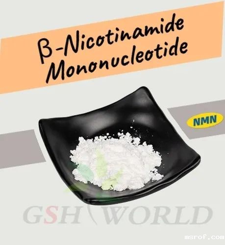 开云体育新人生物 图片