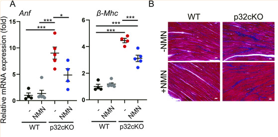 开云体育新人生物
