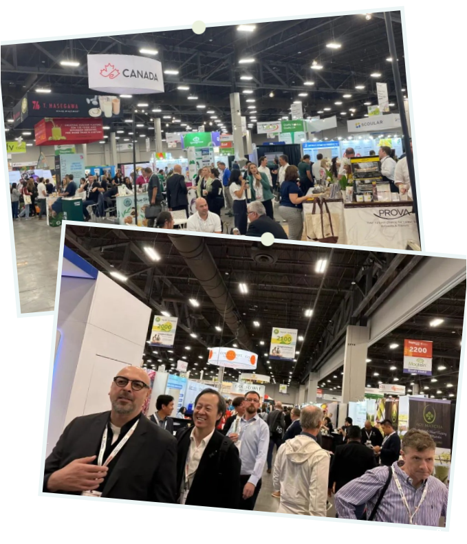 开云体育新人生物