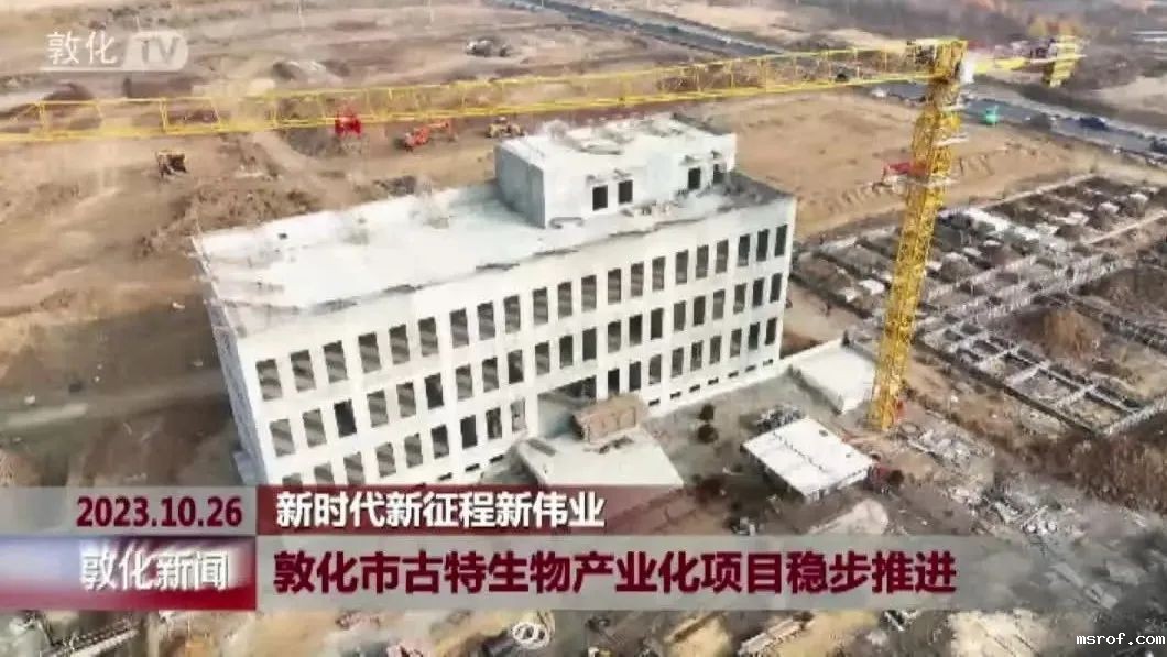 延边这一项目预计2024年10月份交付使用