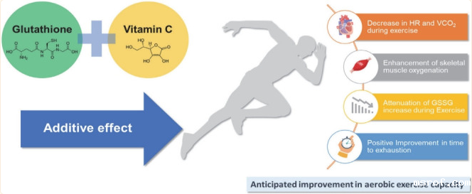 开云体育新人生物