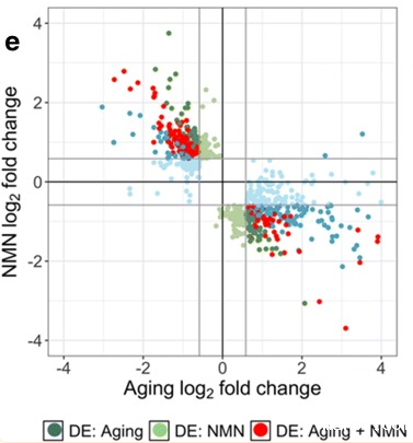 开云体育新人生物